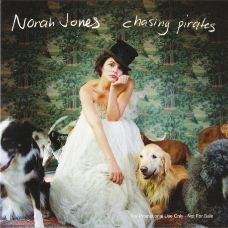 Norah Jones - Chasing Pirates - CD Single Promo