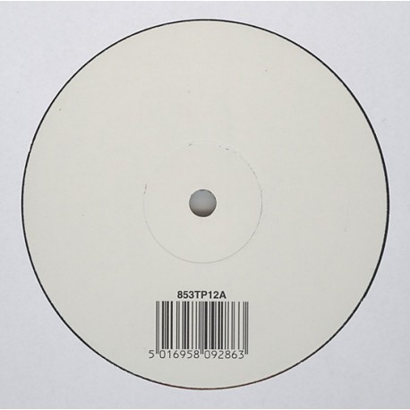 Björk ‎- Wanderlust - Maxi Vinyl White Label