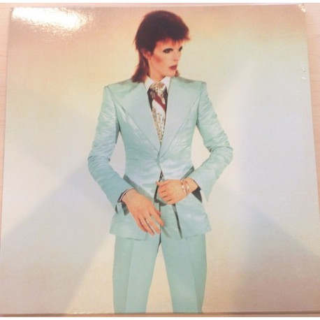 David Bowie ‎- Unreleased Demos 1966-1970 - LP Vinyl - Picture Disc