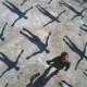 Muse ‎- Absolution - CD Album