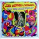 The Jimi Hendrix Experience ‎– Are You Experienced? - LP Vinyl - Coloured Blue