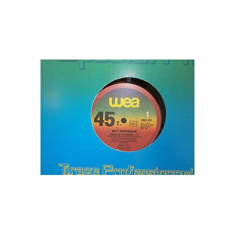 Roy Robinson ‎– Angel Of The Night / May Be Tonight - Promo Vinyl