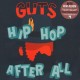 Guts ‎– Hip Hop After All - Double LP Vinyl + MP3 Code