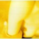 The Smashing Pumpkins ‎– Pisces Iscariot LP Vinyl - Coloured Yellow