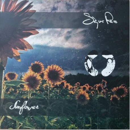 Sigur Rós ‎– Sunflower- LP Vinyl - Live at Paleo Festival