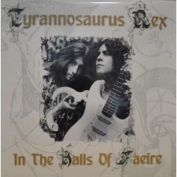 Tyrannosaurus Rex ‎– In The Halls Of Faire - LP Vinyl - Studio Outtakes