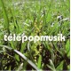Télépopmusik ‎– Breathe - CD Single Promo