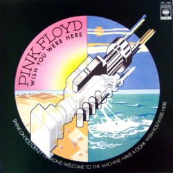 Pink Floyd ‎– Wish You Were Here - Picture Disc - LP Vinyl Album