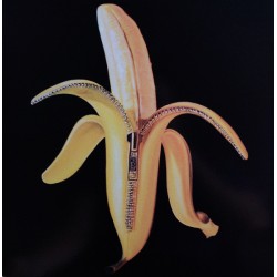 The Dandy Warhols ‎– Welcome To The Monkey House - LP Vinyl Album