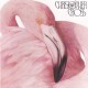 Christopher Cross ‎– Another Page - LP Vinyl Album - Venezuela