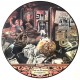 Frank Zappa And The Mothers ‎– Over-nite Sensation - LP Vinyl Picture Disc