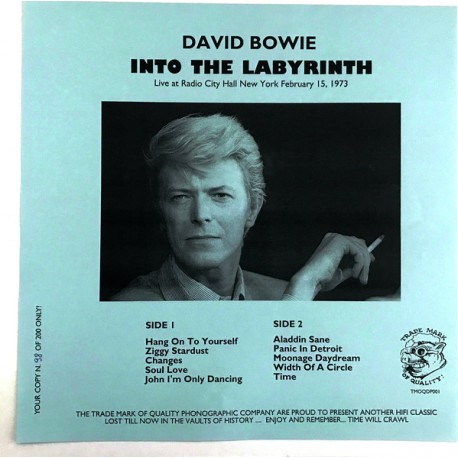 David Bowie ‎– Into The Labyrinth - LP Vinyl Album - Limited Edition
