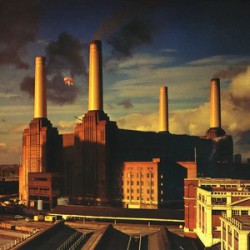 Pink Floyd ‎– Animals - Coloured - LP Vinyl Album