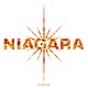 Niagara ‎– Flammes - Double LP Vinyl Album + MP3 Code