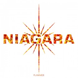 Niagara ‎– Flammes - Double LP Vinyl Album + MP3 Code