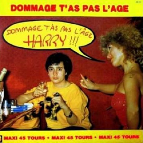 Harry ‎– Dommage T'as Pas L'age - Maxi Vinyl 12 inches