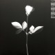 Depeche Mode ‎– Violator - LP Vinyl Album Gatefold