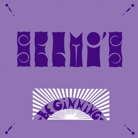 Selmi's ‎– Beginning - LP Vinyl Album