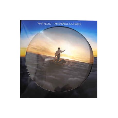 Pink Floyd ‎– The Endless Outtakes - LP Vinyl Album Picture Disc