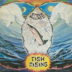 Steve Hillage ‎– Fish Rising - LP Vinyl Album