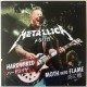 Metallica ‎– Hardwired - Moth Into Flame - Vinyl 7 inches 45 rpm coloured green