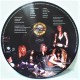 Guns N' Roses ‎– Appetite For Destruction - Picture Disc - LP Vinyl Album