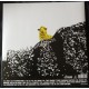 Mr Oizo ‎– Lambs Anger - Double LP Vinyl + CD