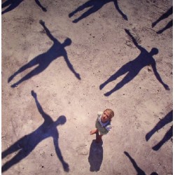 Muse ‎– Absolution - Double LP Vinyl Album