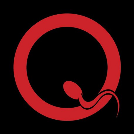 Queens Of The Stone Age ‎– Songs For The Deaf - Double LP Vinyl Album