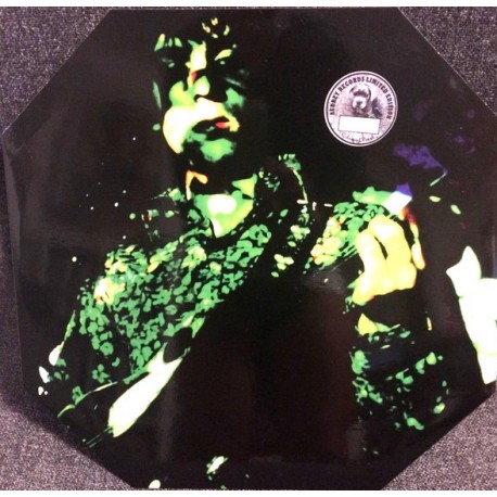 Syd Barrett ( Pink Floyd ) - ... And Other Stories - LP Vinyl Album Limited Octagonal
