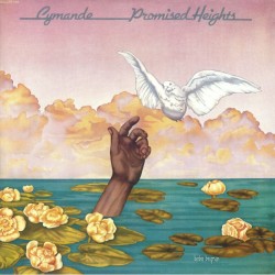 Cymande ‎– Promised Heights - LP Vinyl Album