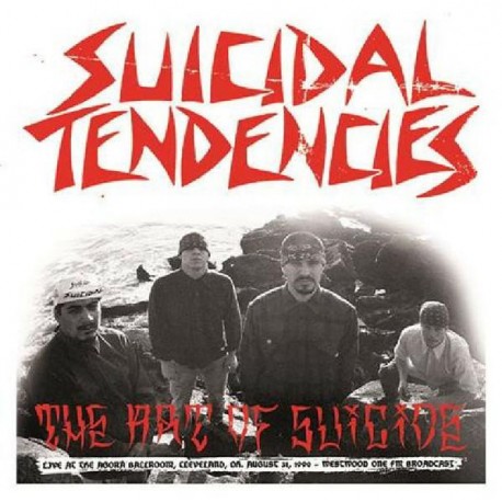 Suicidal Tendencies ‎– The Art Of Suicide - LP Vinyl Album