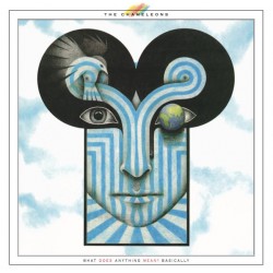 The Chameleons ‎– What Does Anything Mean? Basically - LP Vinyl Album