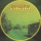 The Roots Of Chicha - Psychedelic Cumbias From Peru - LP Vinyl Album