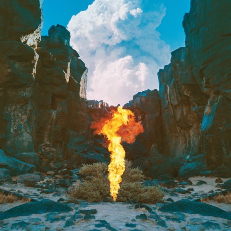 Bonobo ‎– Migration - Double LP Vinyl Album