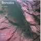 Bonobo ‎– Linked - Maxi Vinyl 12 inches One Sided