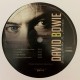 David Bowie ‎– Best Of Seven Months In America - LP Vinyl Album