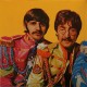 The Beatles ‎– Sgt. Pepper's Lonely Hearts Club Band - LP Vinyl Album Gatefold Sleeve Italy