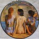 Pink Floyd ‎– Rare Beauties - LP Vinyl Album Picture Disc