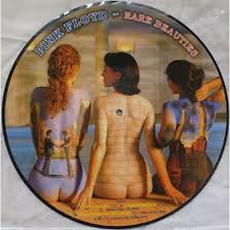 Pink Floyd ‎– Rare Beauties - LP Vinyl Album Picture Disc