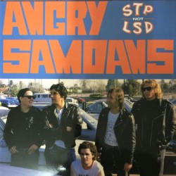 Angry Samoans ‎– STP Not LSD - LP Vinyl Album - Punk Hardcore