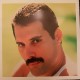 Freddie Mercury ‎– Mr. Bad Guy - LP Vinyl Album Special Edition